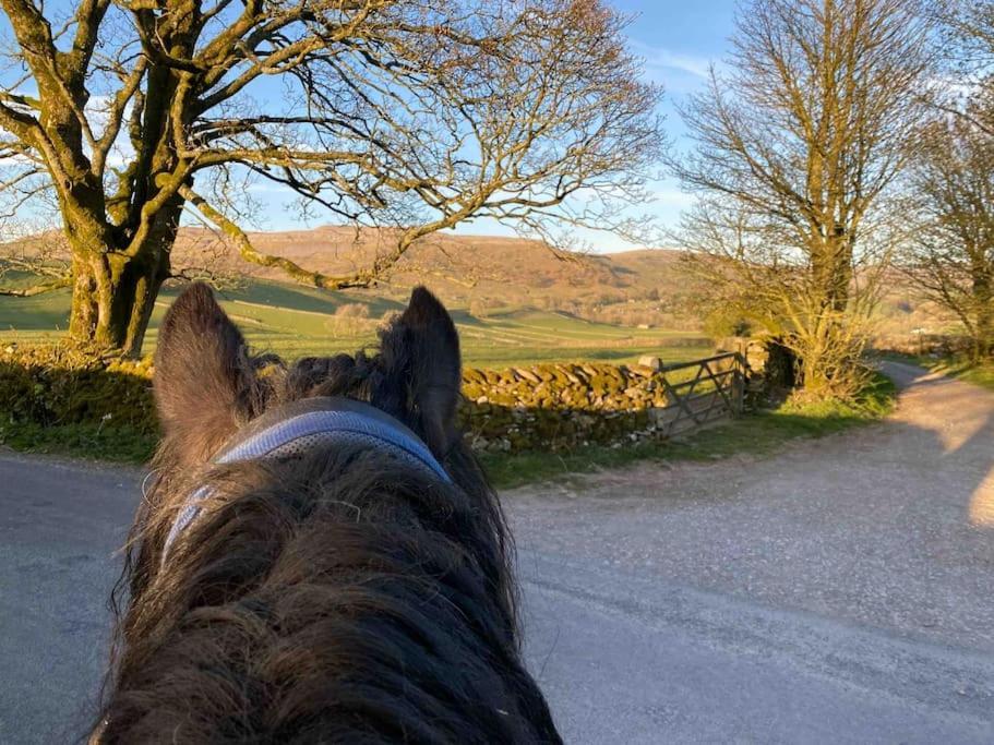 Charming Dog-Friendly Yorkshire Dales Cottage, Austwick Bagian luar foto